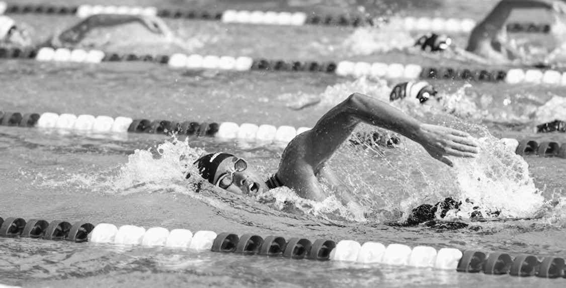Four Golds Came, the Clock Didn't: The Unfinished Ledger of Anh Vien's Comeback